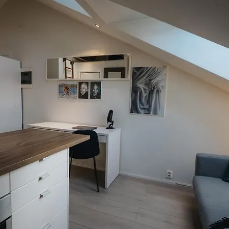 Apartment Cozy Loft In Oslo