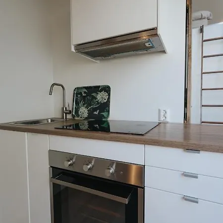Cozy Loft In Apartment Oslo