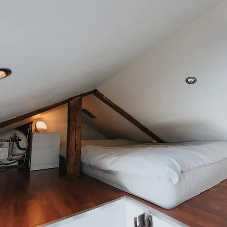 Cozy Loft In Apartment Oslo